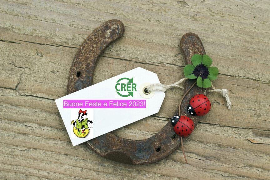New Years Card with horseshoe, Leafed clover and ladybugs on wooden background